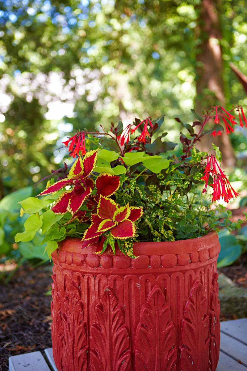 Pick A Bright Container That Stands Out