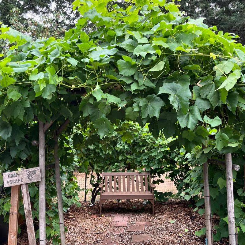 Use Vertical Growing Space