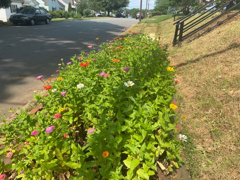 Plant After Soil Warms