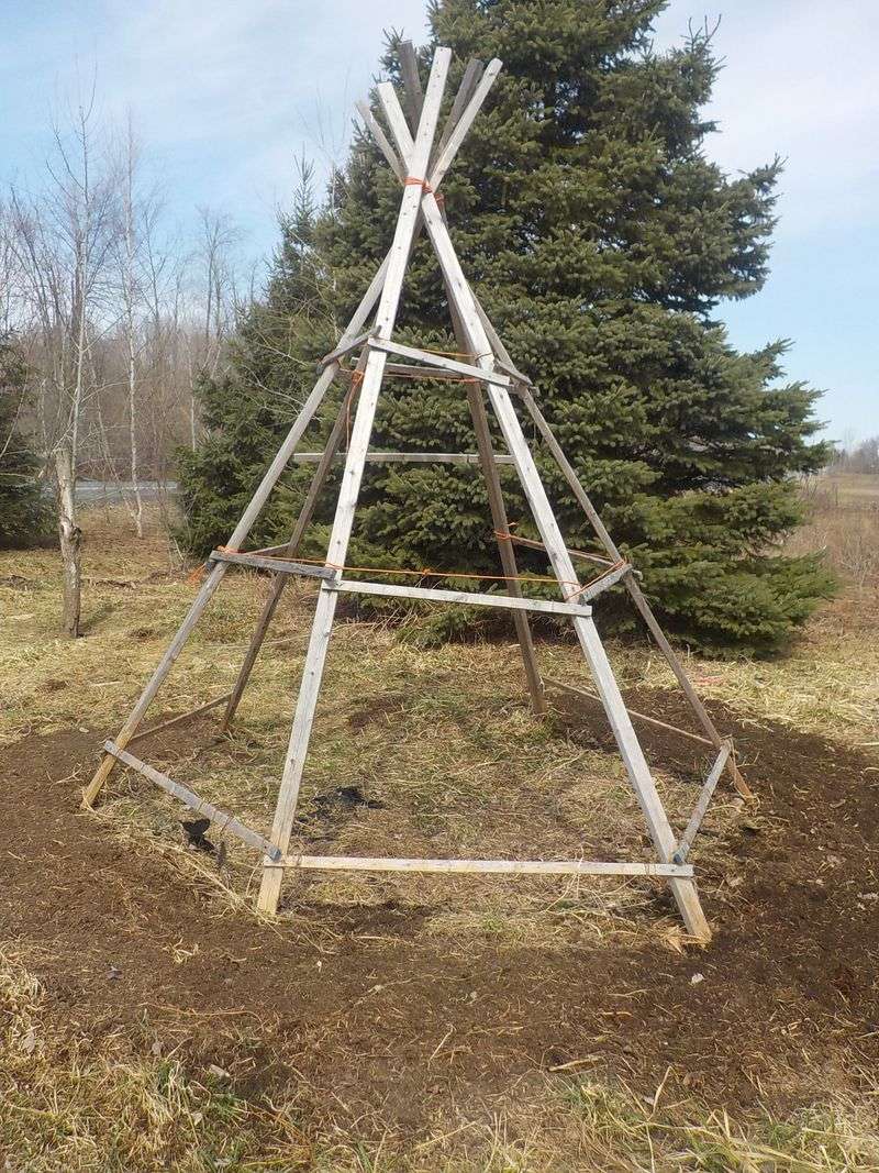 Build The Frame With 5 To 8 Sturdy Poles