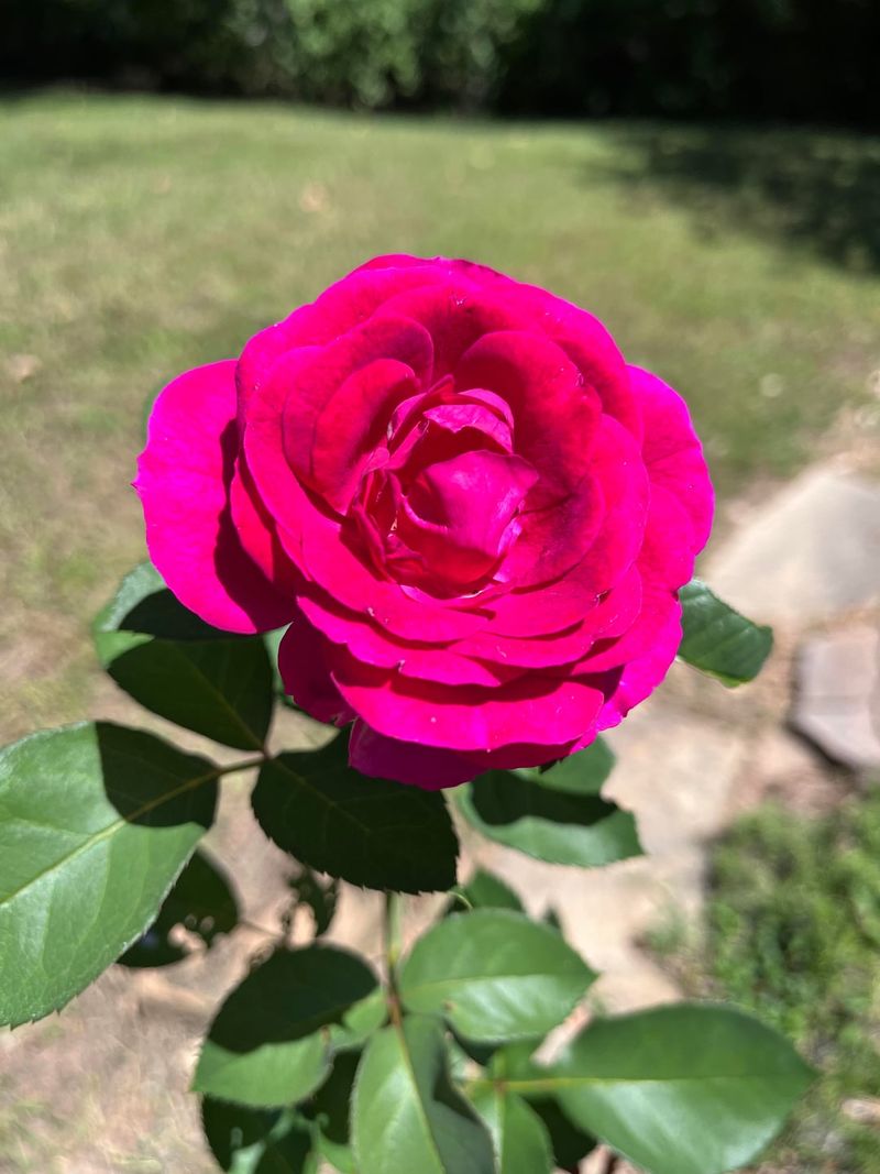 Pick A Sunny Location