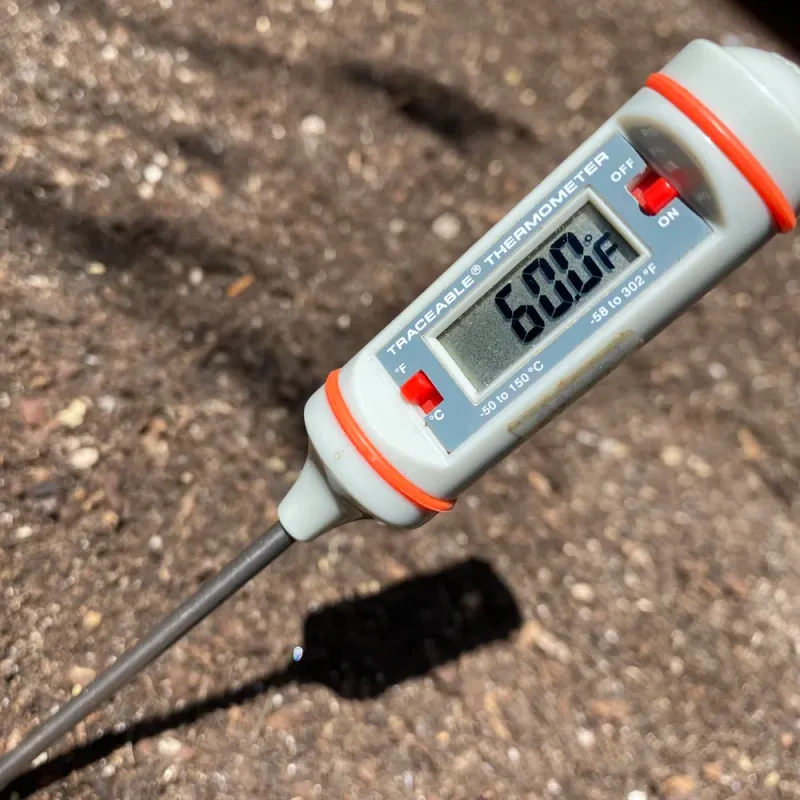 Wait Until Soil Temperatures Reach At Least 60°F Before Planting