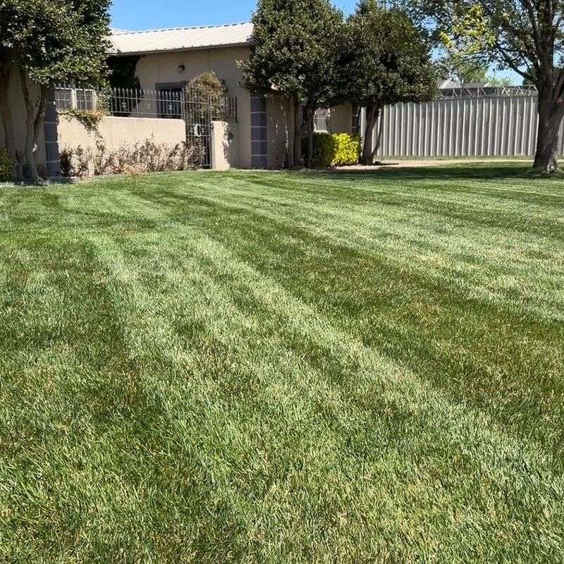 How Much To Apply Without Causing Burn