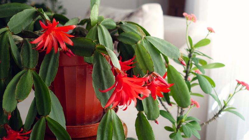 Finding The Perfect Spot In Your New York Home