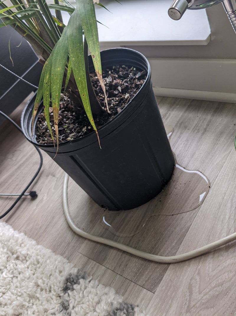 Water Drains Too Fast