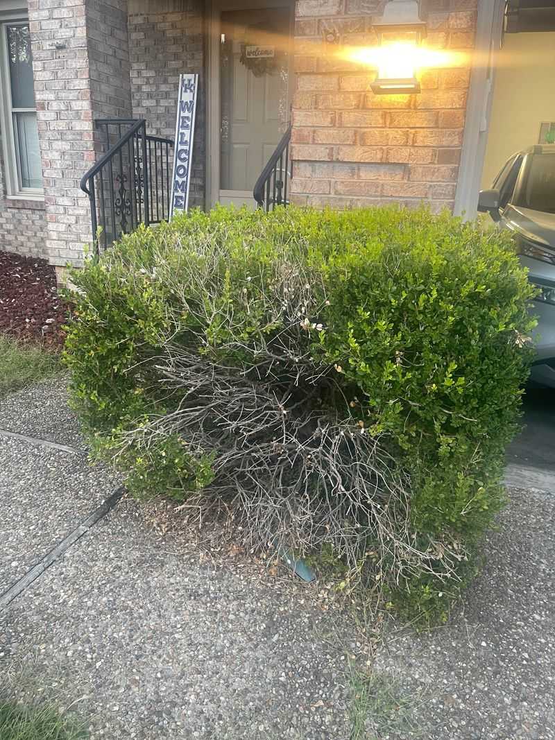 Thin Out Crowded Growth