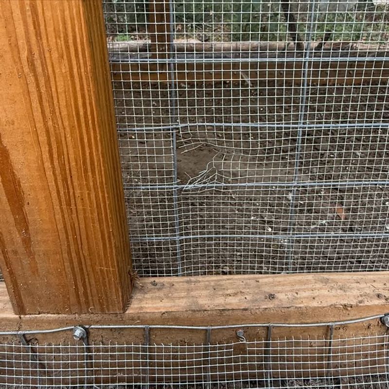 Use Hardware Cloth To Exclude Chipmunks From Flower Beds