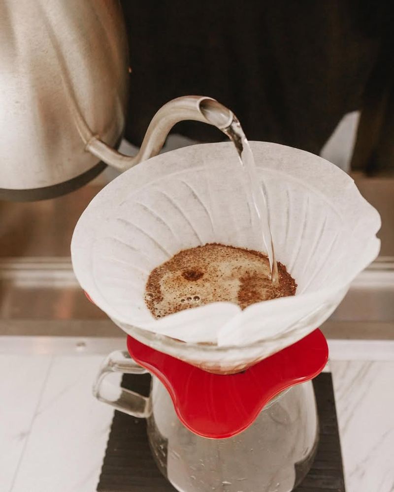 Coffee Filters Add Brown Balance