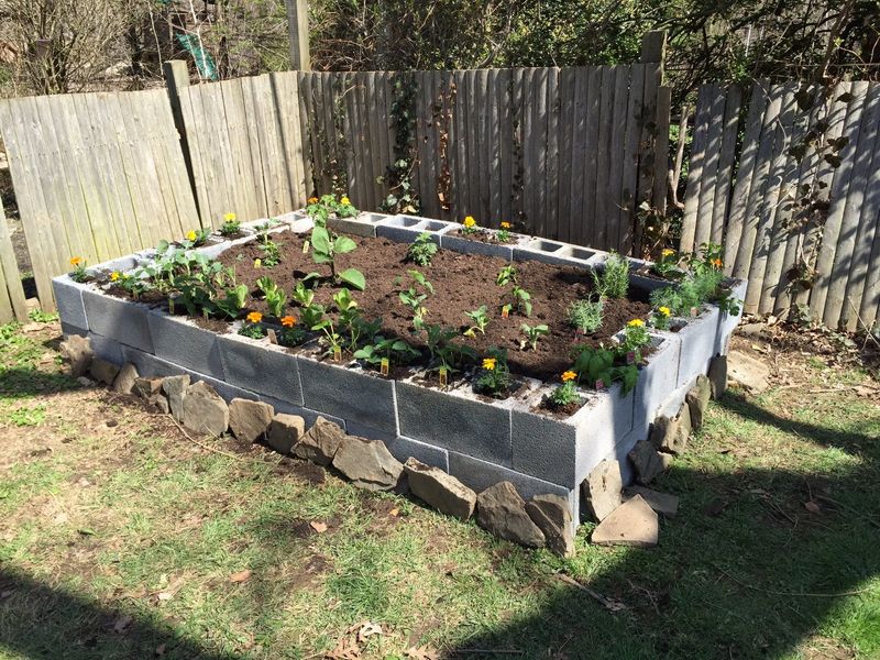 Use What You Already Have For Garden Beds And Supports