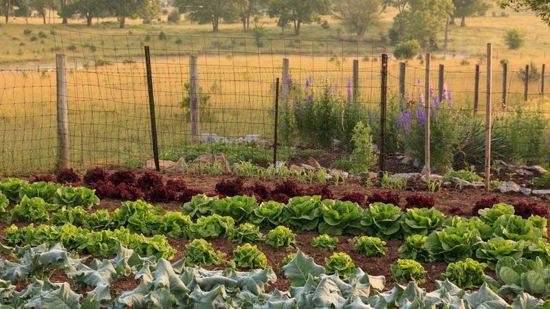 Tips For A Successful May Garden In Pennsylvania