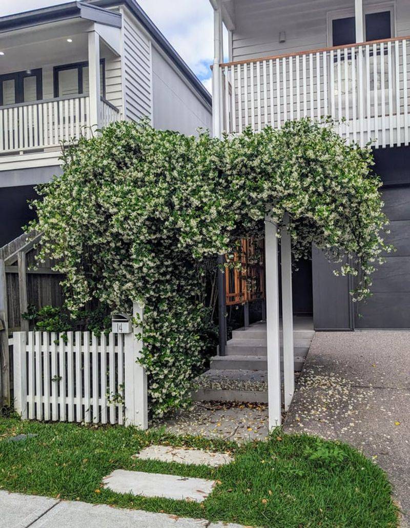 Evening Fragrance Can Enhance Outdoor Seating Areas