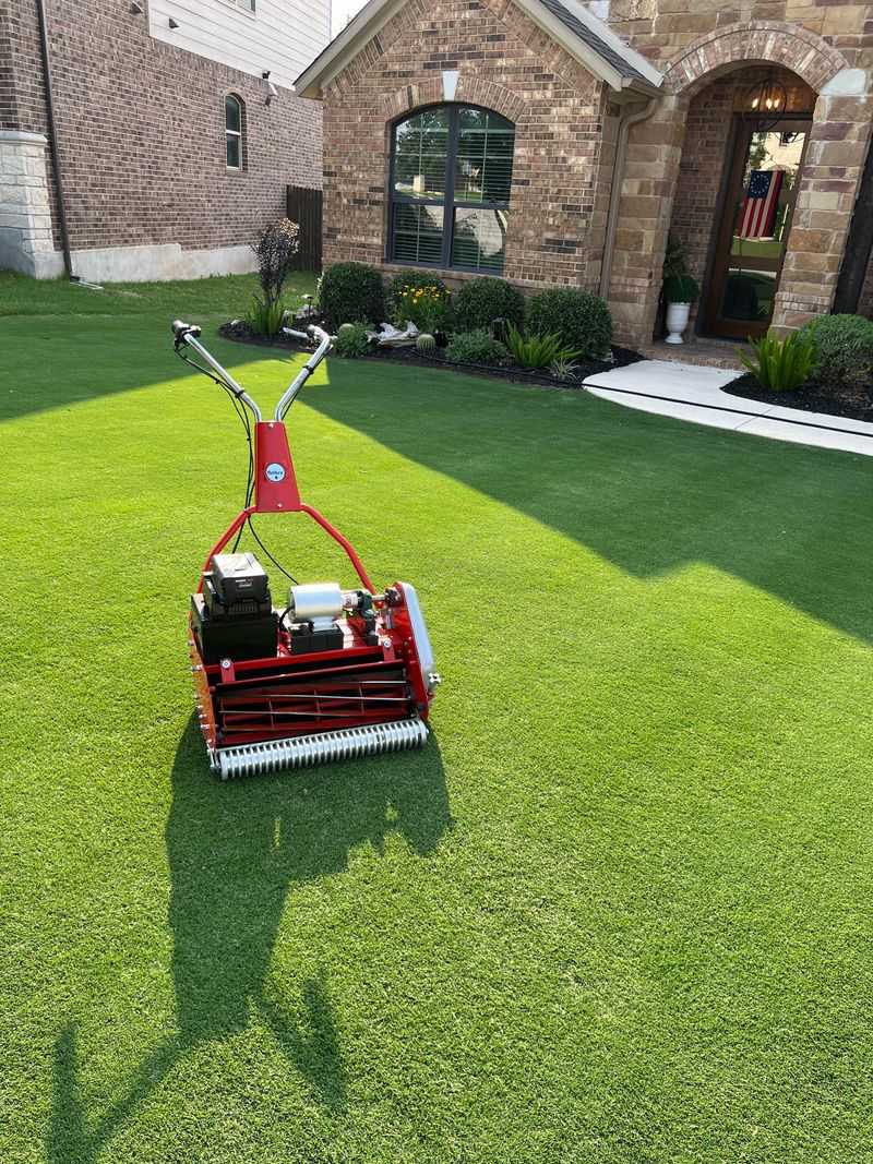 Mow Slightly Lower To Help Sunlight Reach New Growth