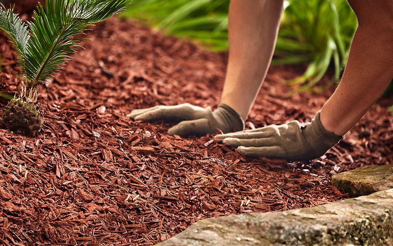 Mulch Slows Drying At The Surface