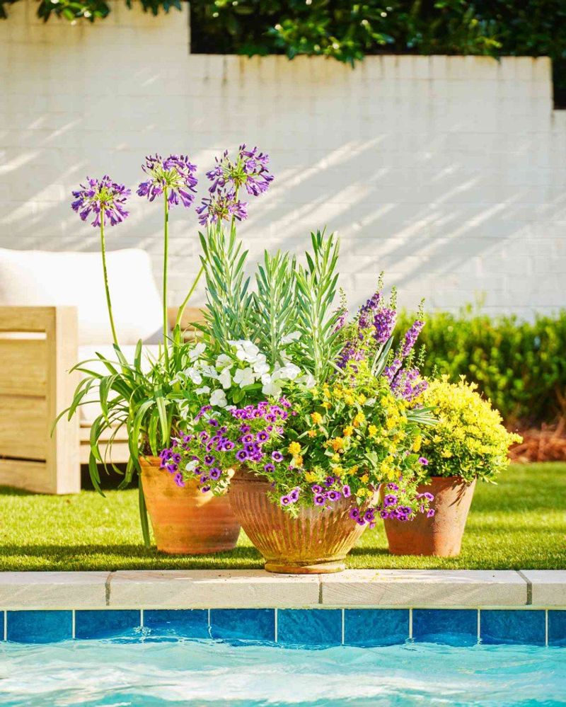 Use Fewer Plants In Small Pots