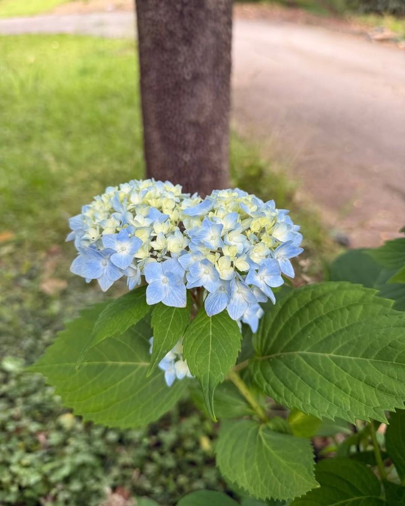 Changes Take Time And May Vary From Season To Season