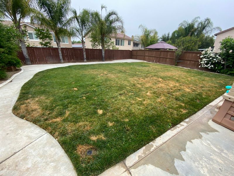 Lawns Still Soak Up Plenty