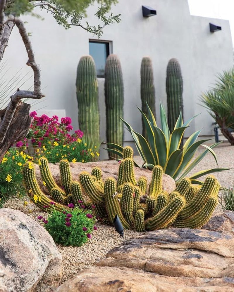 Water Reaches Roots More Efficiently With Targeted Delivery