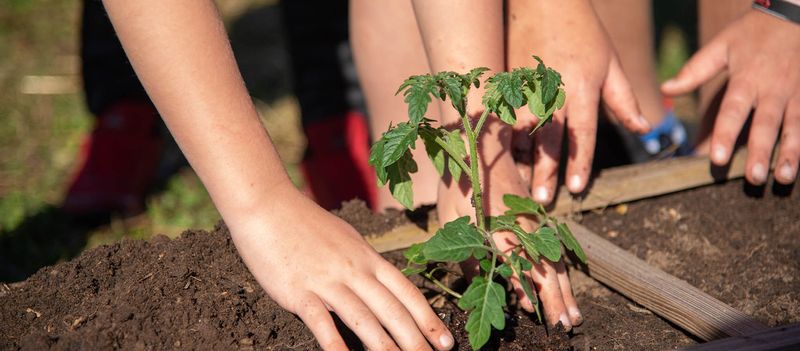 Warm-Season Seeds Require Warmer Soil To Sprout Successfully
