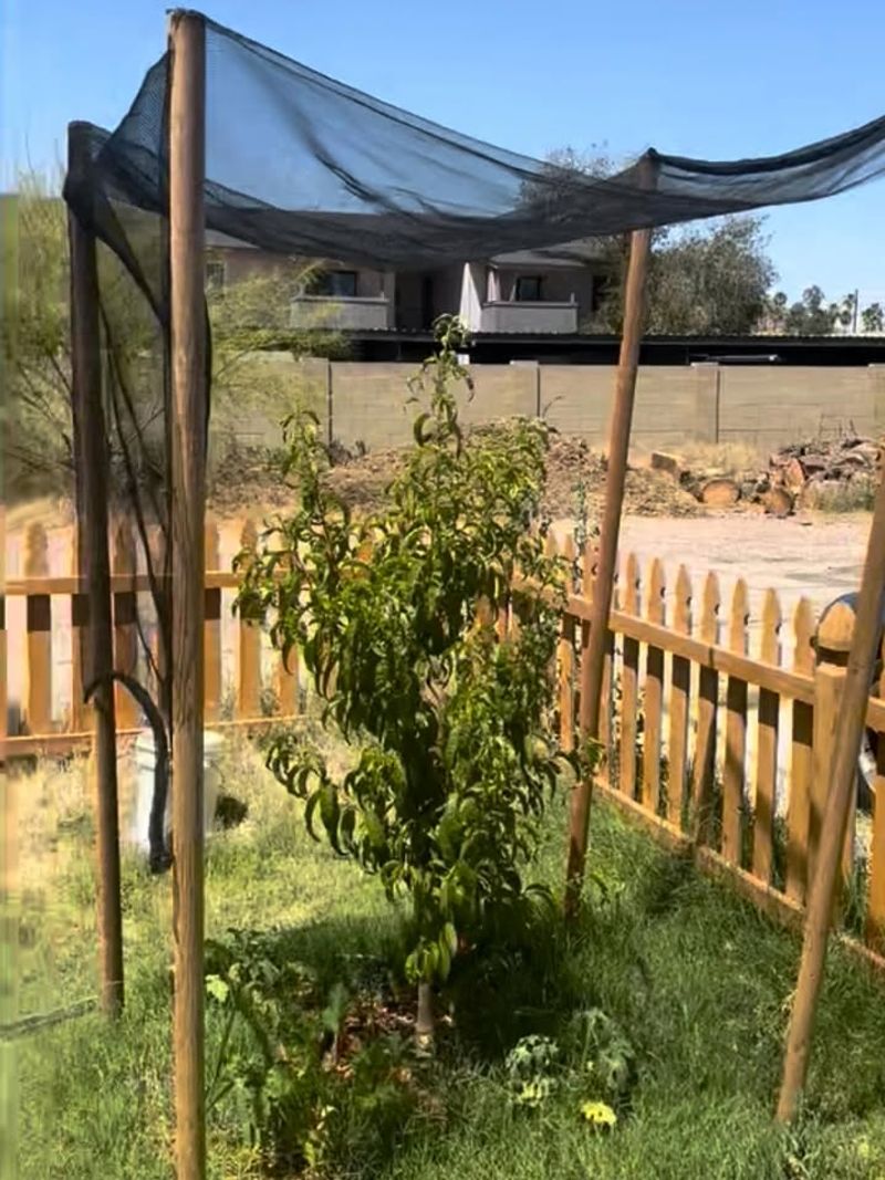 Gradual Sun Exposure Prevents Shock