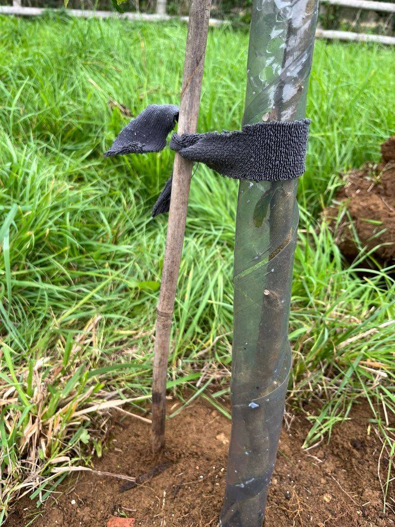 Two-Point Anchoring Improves Balance In Wet Conditions