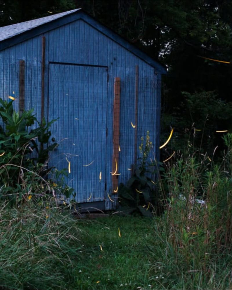 Leave Leaf Litter For Shelter And Breeding