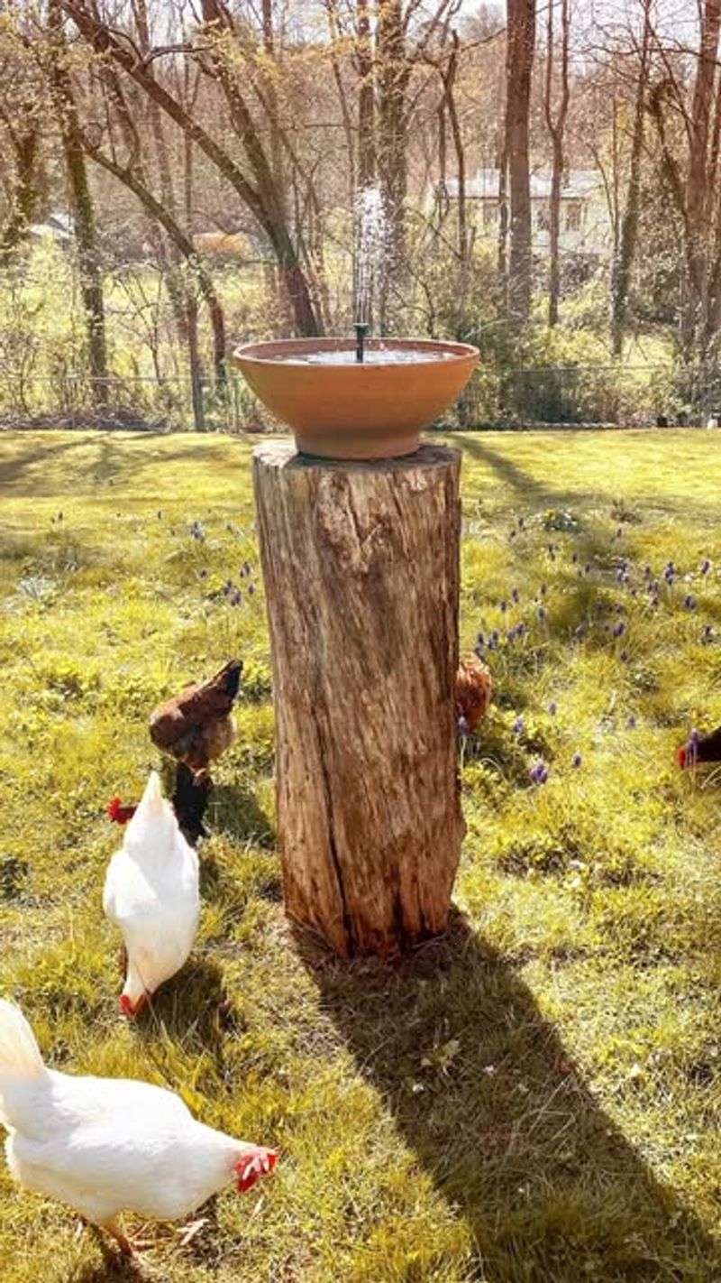 Create A Stump Water Feature