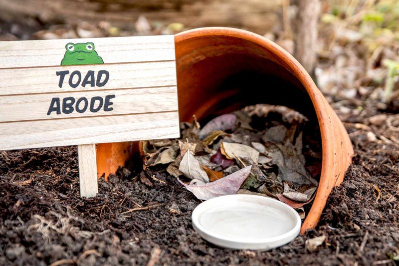 Turn Pots Into Cozy Toad Houses
