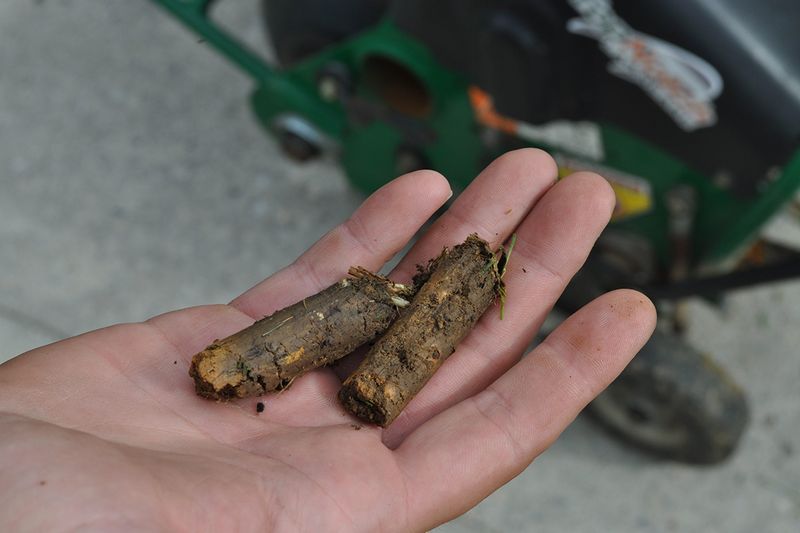 Avoiding Any Soil Disturbance