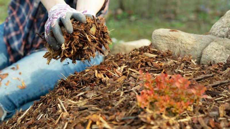 Letting Mulch Stay Soggy