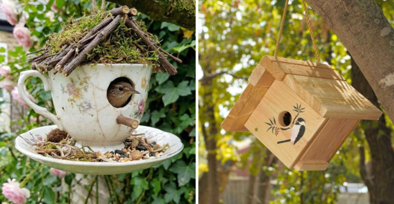 Creative Birdhouse Ideas Arizona Gardeners Can Easily Make