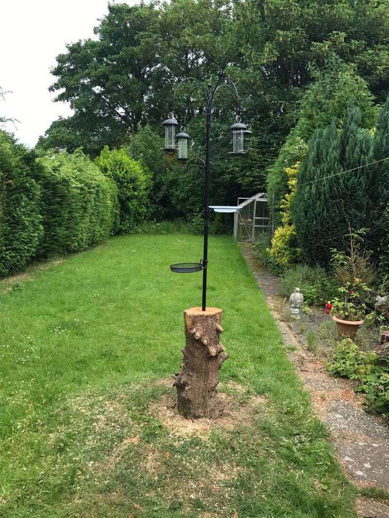 Turn It Into A Bird Feeder