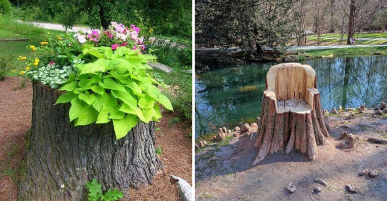 Creative Ways To Repurpose A Tree Stump In North Carolina Gardens