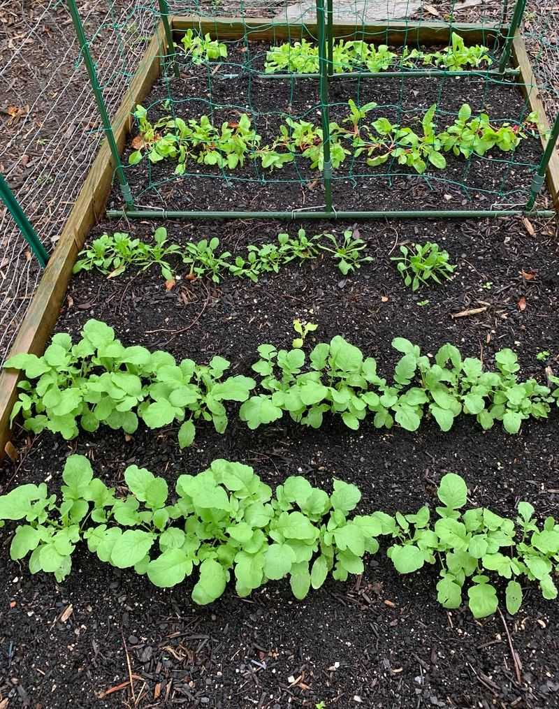 Planning For Michigan's Growing Season: Timing Is Key