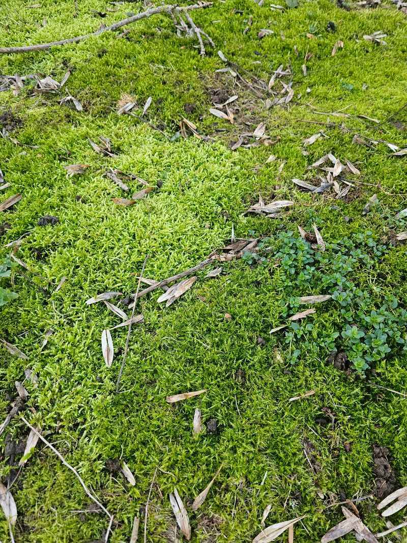 Skip The Heavy Foot Traffic