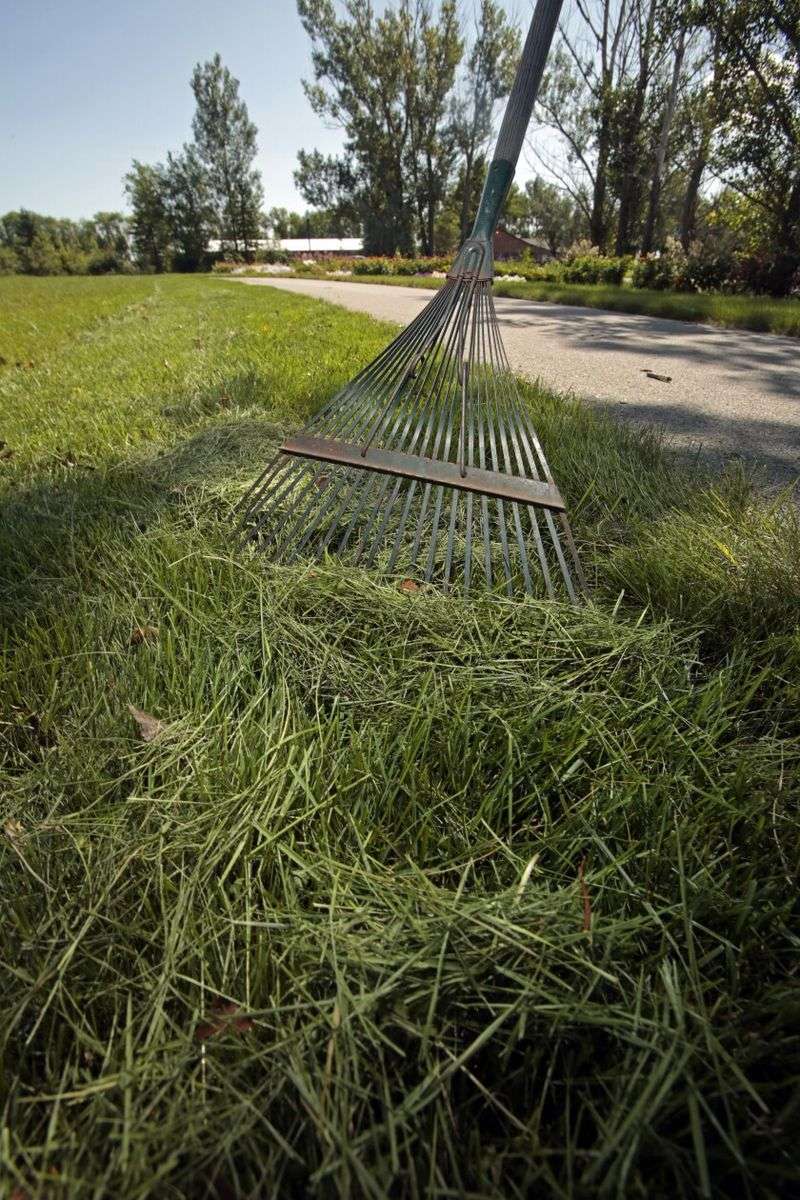Bag Clippings In Weedy Spots