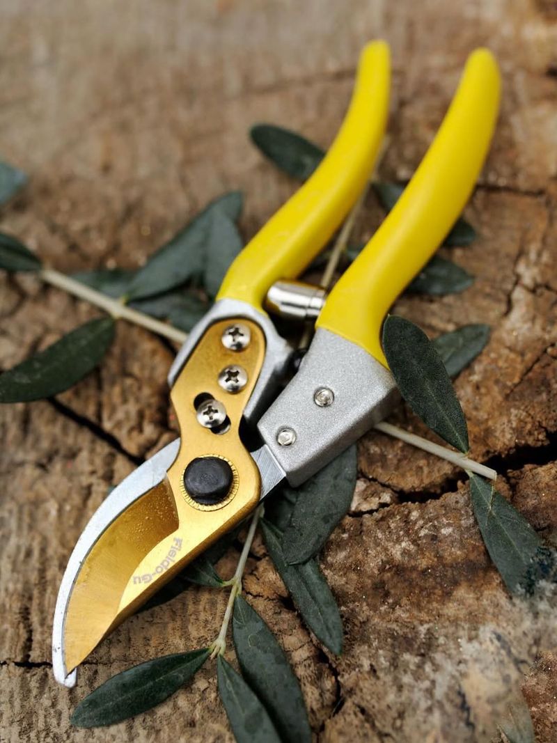 Use Clean Tools To Prevent Spreading Infection