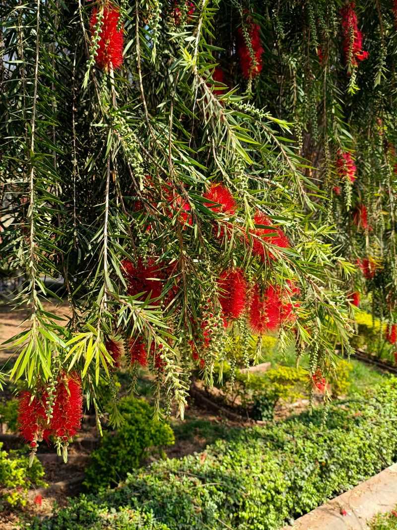 Avoid Late Pruning