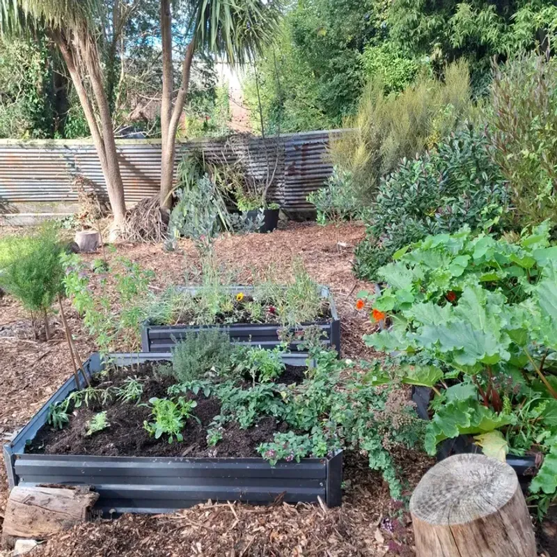 Add Mulch To Keep Roots Cooler And Hold Moisture