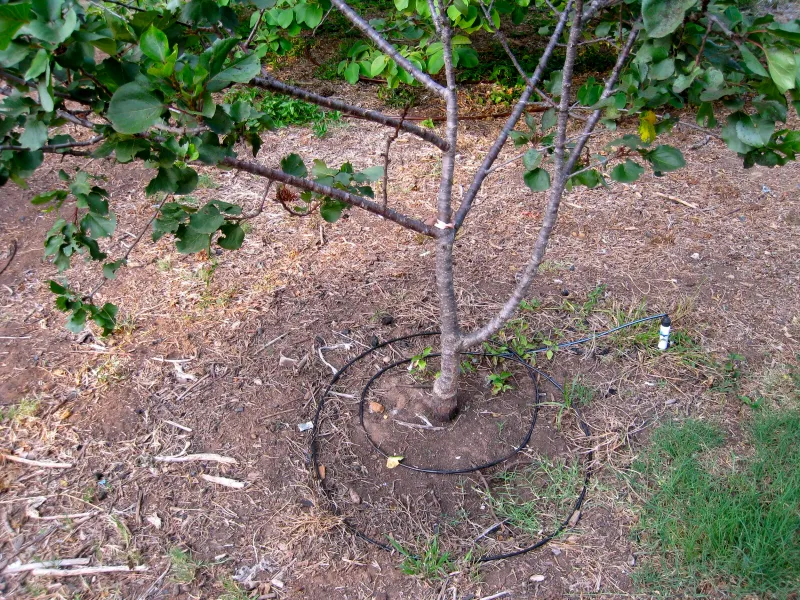 Check Irrigation Systems Before Summer Demand Increases