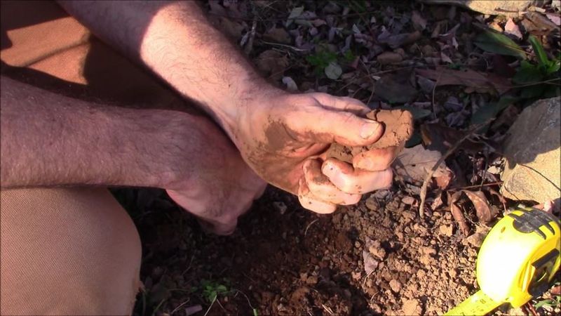 Checking Soil Moisture Prevents Unnecessary Watering