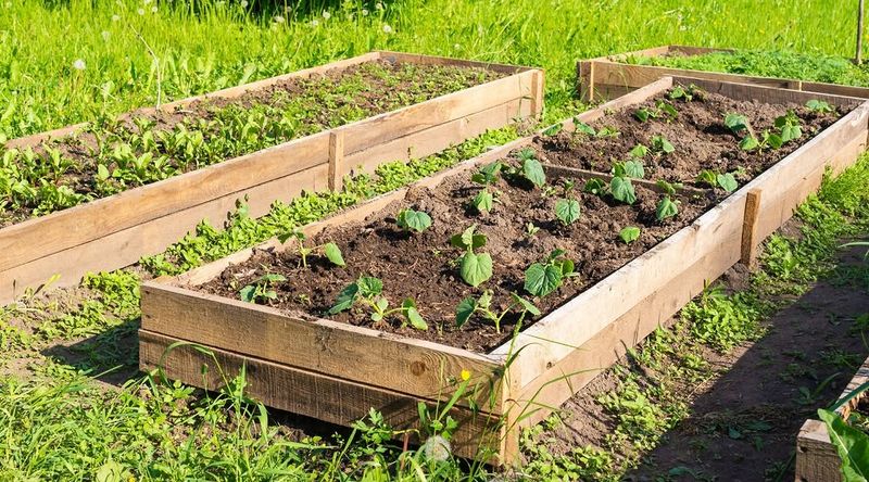 Time Fertilizing With Soil Warmth