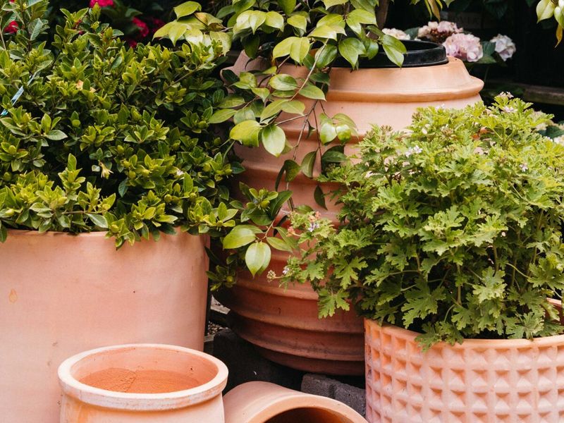 Group Containers To Reduce Drying