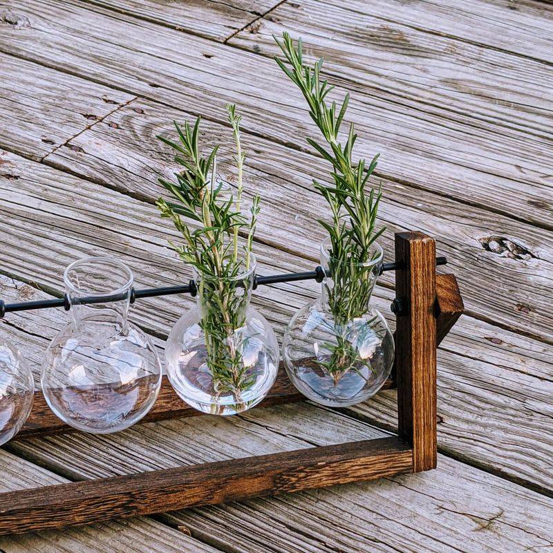 Keep Cuttings In Bright Indirect Light