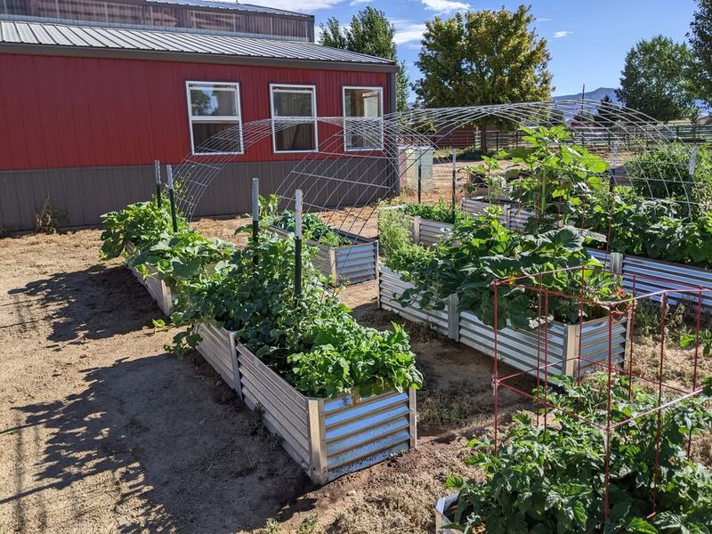 Elevated Structure Allows Heat To Build From All Sides