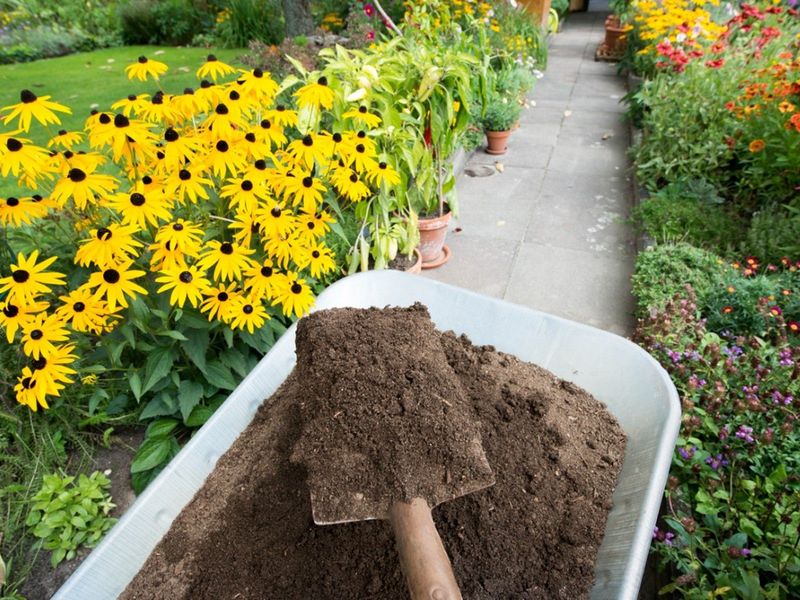 Apply Compost Instead Of Heavy Fertilizer