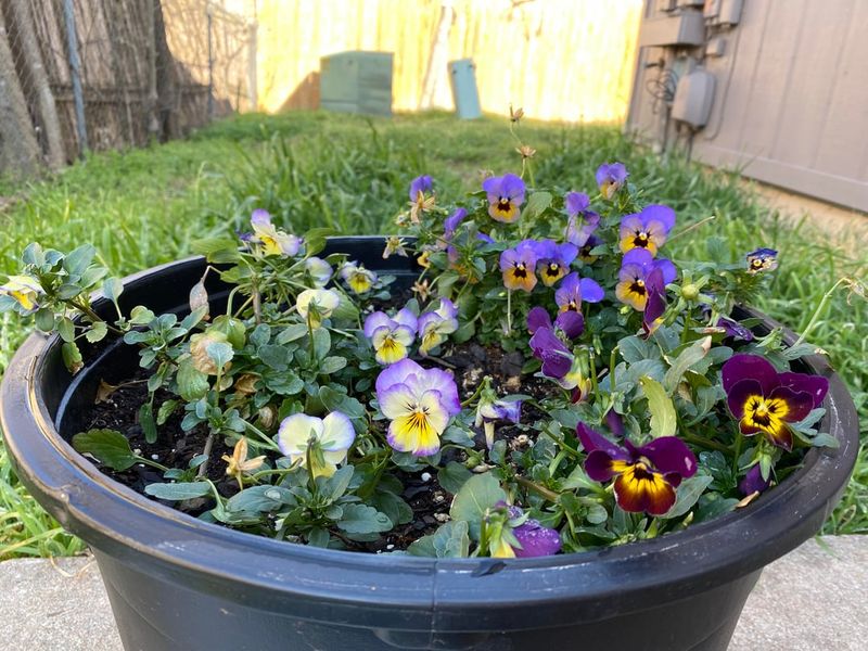 Refresh Spring Containers