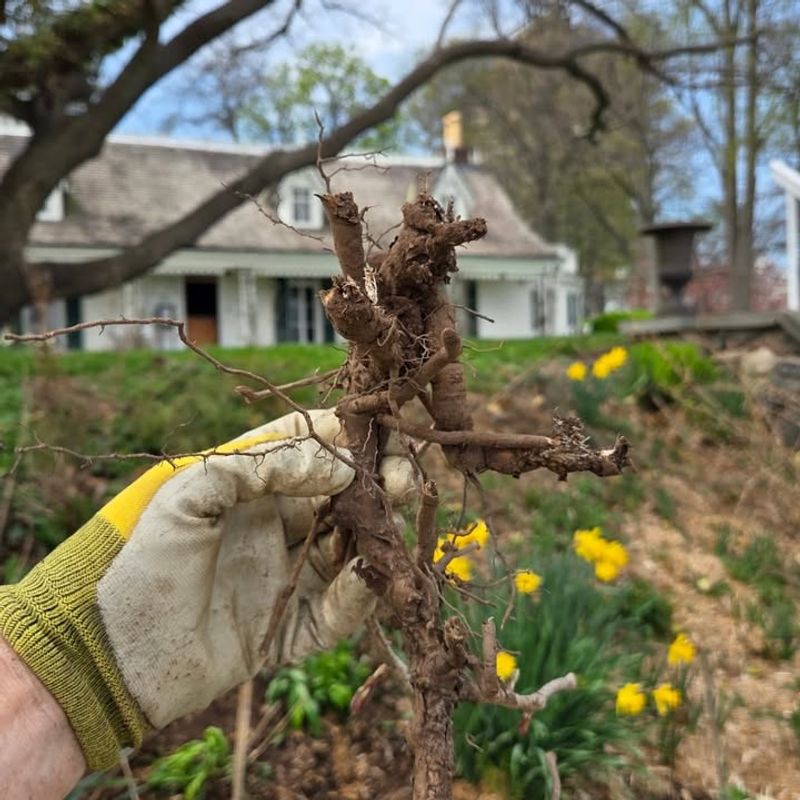 Stop The Tubers From Moving Around