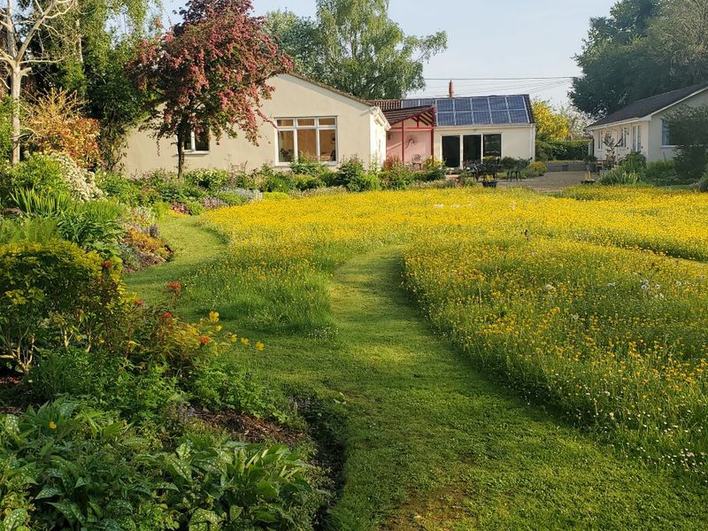 What No Mow May Means For Pennsylvania Lawns