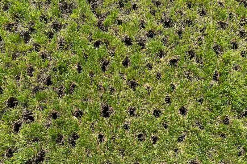 Compacted Soil Slows Early Spring Spread