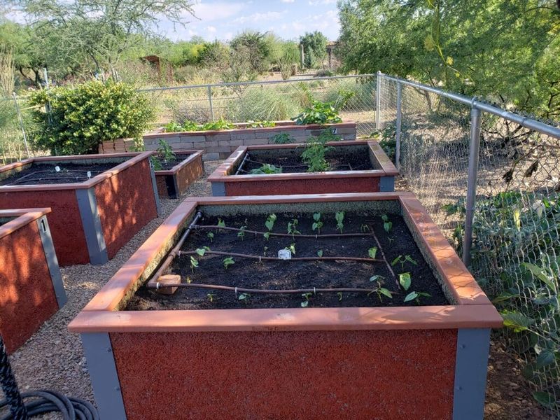 Add Mulch To Slow Down Soil Heating And Moisture Loss